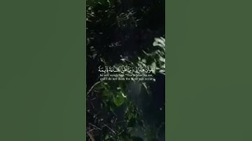 حالات واتس قران كريم🌿لا يسأم الإنسان من دعاء الخير🌿 ماهر المعيقلي 🌿سورة فصلت🌿