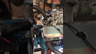 IMG 1576