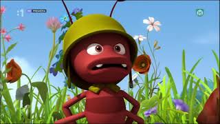 Včielka Maja - Nové Dobrodružstvá - Majina Záhrada