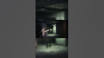 Uneducated Shooter #Shorts #Fallout4 #Tactical #Mods