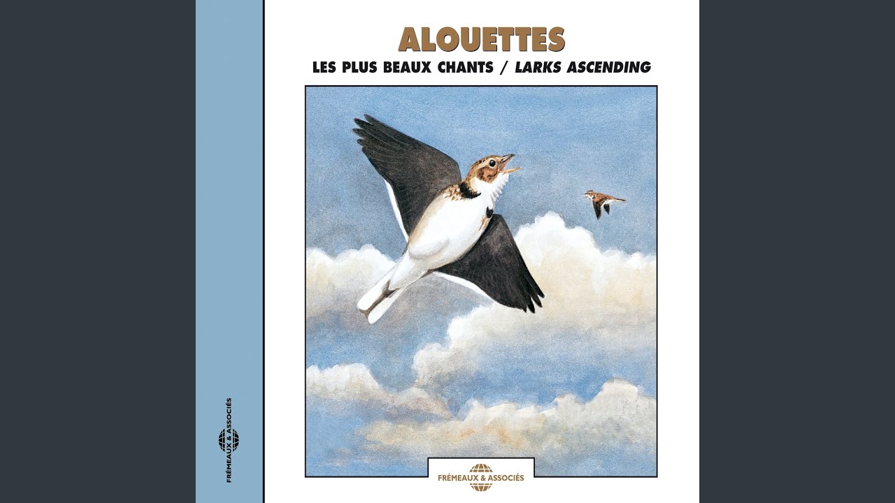 Watch Alouette Pistolette Huelva on YouTube Watch Alouette Pistolette Huelva on YouTube