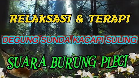 RELAKSASI DAN TERAPI DEGUNG SUNDA KACAPI SULING DAN SUARA BURUNG PLECI