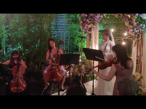 Night wedding ceremony oboe play (focus on the bride❤️)