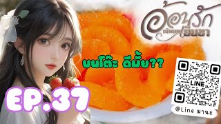 นิยายเสียง อ้อนรักเจ้านายเย็นชา EP.37 รักรสส้ม