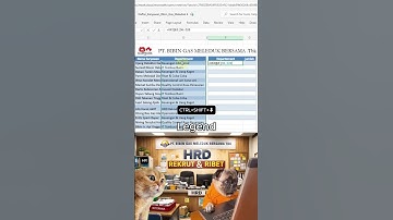 Cara Pakai UNIQUE di Excel + COUNTIF (Pemula Wajib Tahu)😤 #excel #exceltips