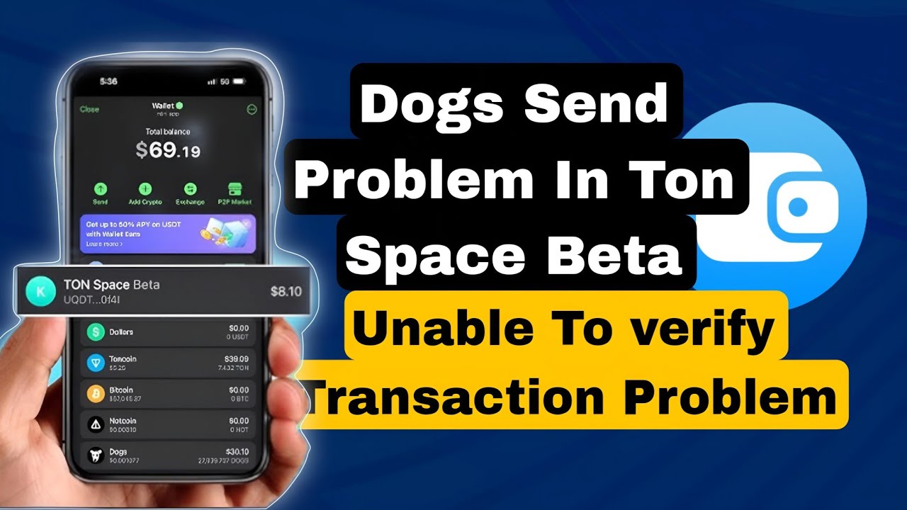 Unable To Verify Transaction Problem in Telegram Wallet | Dogs Send Problem In Ton Space Beta Solved