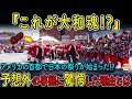【海外の反応】ワシントンD.C.が騒然！日本の大学生の太鼓と舞踊に観客総立ち!?