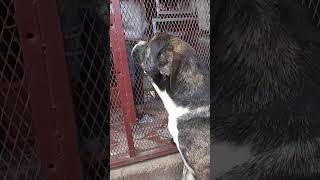 13 De Septiembre De 2023