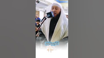ما تيسر من سورة الحاقه/القارئ. حمزة الفار #قرآن #تلاوات #تلاوة_خاشعة