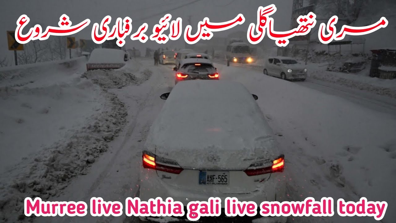 Murree live today | 