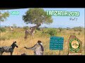 Tanzania 2019 - Part 2 | Mikumi & Udzungwa National Parks