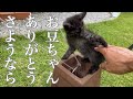 【悲報】ご報告しなければいけない事があります。