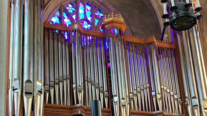 John-Paul Buzard plays Bach's Aus tiefer Not, BWV ...