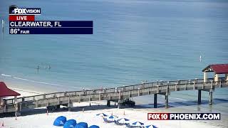 🔴 LIVE WEBCAMS around the U.S.A. | August 7