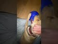 THATS MY HAND LOLOL