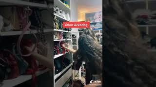 Normal Arkadas Vs Yakin Arkadas Resimi