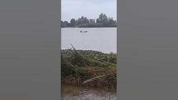 Chắc chú thả trôi giăng lưới bắt cá...😁😁