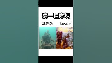 Minecraft 基岩版 Java版 梗圖