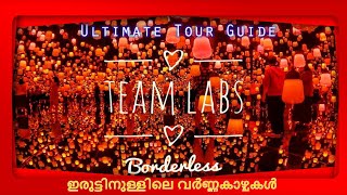 teamLab Borderless inTokyo| ഇരുട്ടിനുള്ളിലെ വർണ്ണകാഴ്ചകൾ| Malayalam | English |  Real Life in Japan