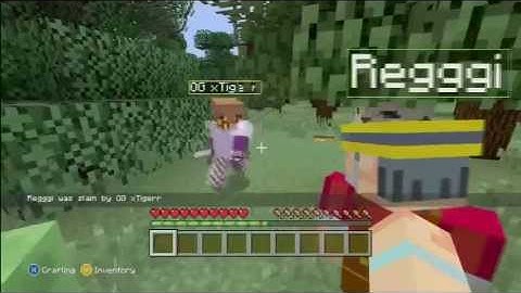 Minecraft Mini-Game : HUNGER GAMES 3
