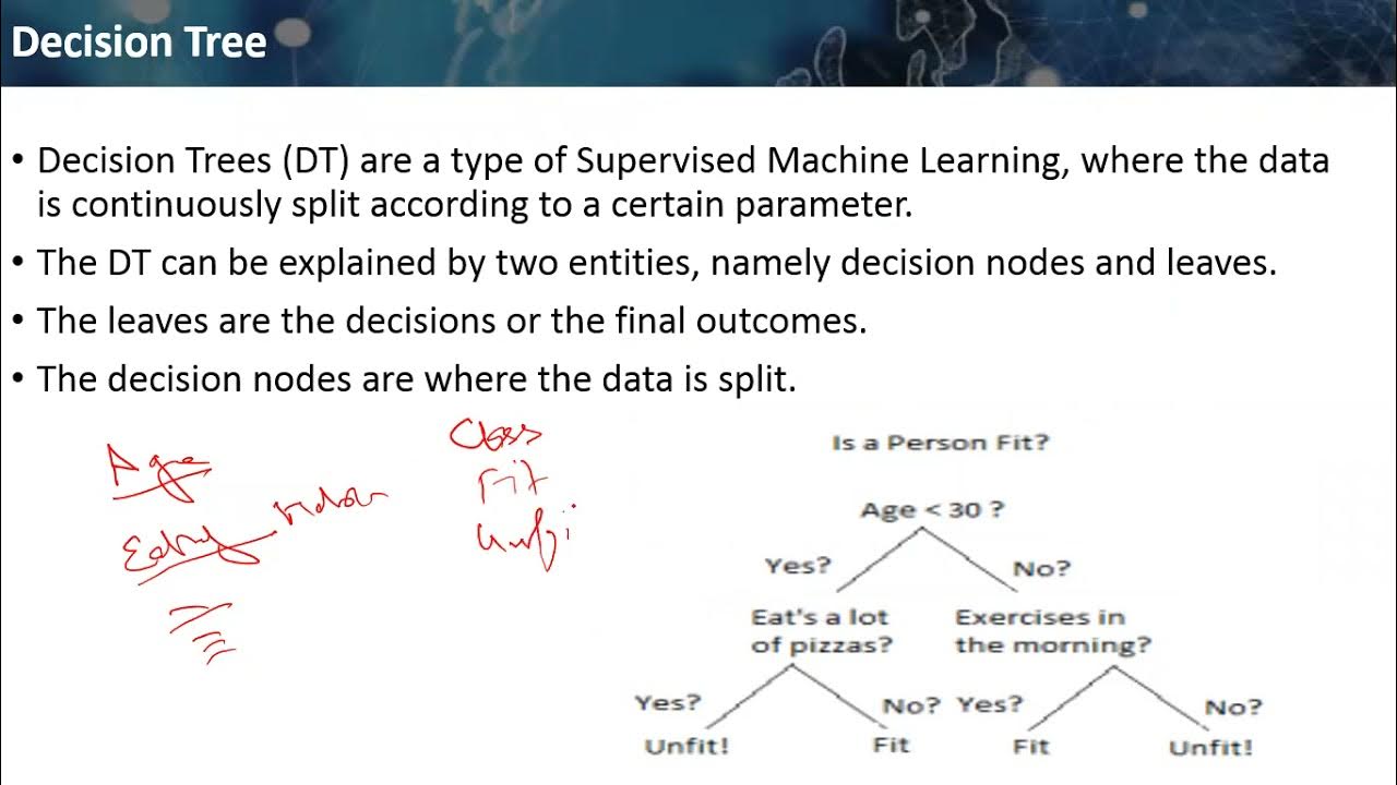 Decision Tree - YouTube