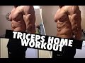 TRICEPS HOME WORKOUT (no gym, no equipment)