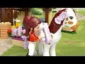 Heartlake Riding Club - LEGO Friends  - Product Animation 41126