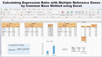 calculate relative gene expression using Excel |  Common base method