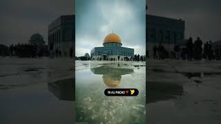 ya ali #shorts #ytshorts #viral #diwan_786_ #yaali #ali #masjidalaqsa