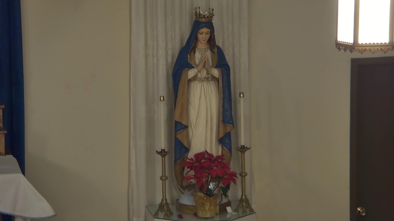 Rosary, February 8, 2026