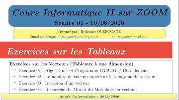 Cours Informatique II - Séance 03 – Vecteurs – Exercice 02 à Exercice 04 - 2020-06-10