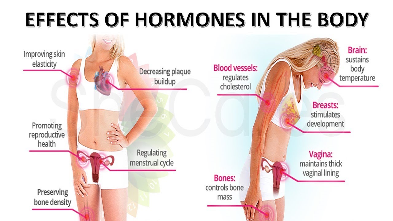 EFFECTS OF HORMONES IN THE BODY ENDOCRINE DISORDERS YouTube EFFECTS OF HORMONES IN THE BODY ENDOCRINE DISORDERS YouTube