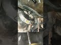 C B R 130 K Speed Mea 