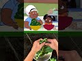 Let Them Cook: Collard Greens 🥬 | Phoebe & Jay | PBS KIDS
