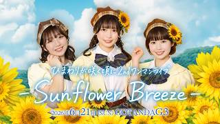 ひまわりが咲く頃に2ndワンマンライブ— Sunflower Breeze — - YouTube