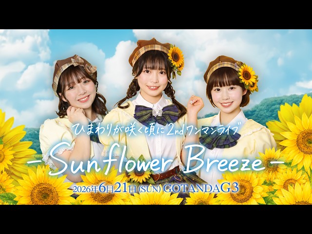ひまわりが咲く頃に2ndワンマンライブ— Sunflower Breeze — - YouTube