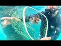 *HAND CATCHING LIONFISH* (Lionfish Catch Clean and Cook)