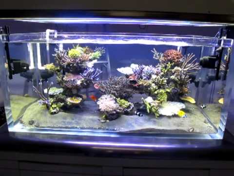 Wave box