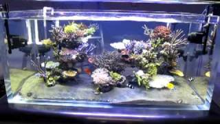 Wave box
