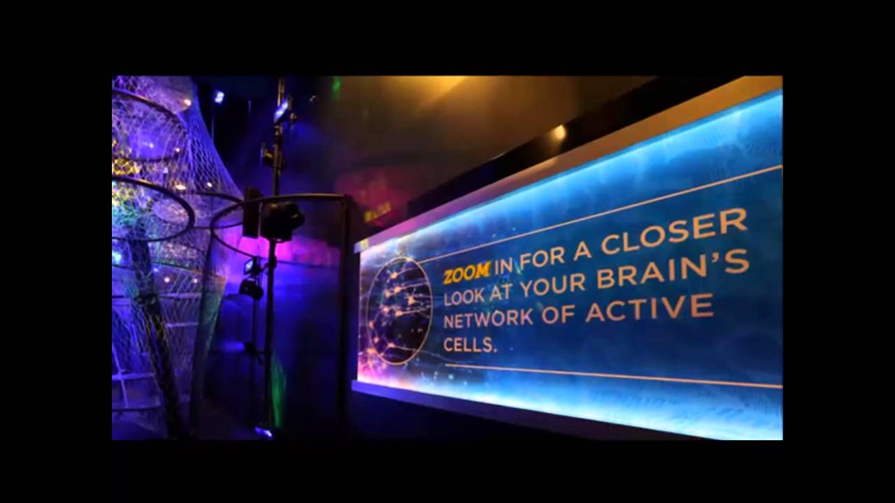 Exposition “The Brain”* – The Franklin Institute (Philadelphia). Экспозиция "Мозг"