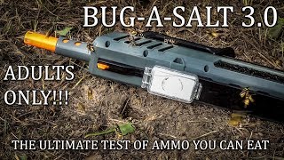 JoergSprave's Version of Bug-A-Salt Salt Shotgun 