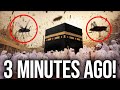 HUGE Insects INVADE Kaaba in Mecca and TERRIFIES Muslims