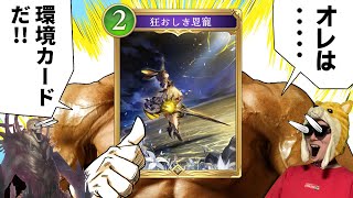 新環境で「狂おしき恩寵」が最強カードになってるってマジ！？【シャドバWB/シャドウバースワールズビヨンド】