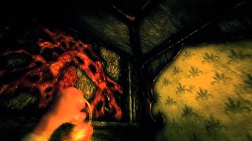 Amnesia Elevator Falling Scene