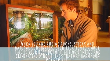 Coastal carpet python care video