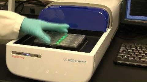 Tutorial: How to Use a Rinse Cassette with Pippin Prep