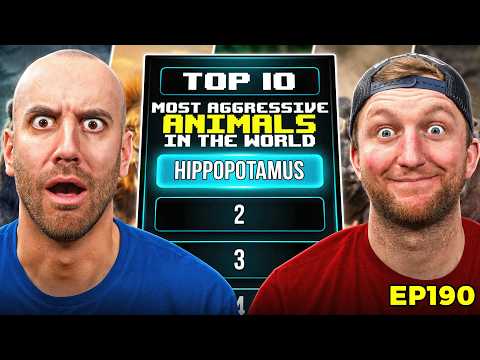 Top 10 Most Aggressive Animals In The World | The Makeshift Podcast 190