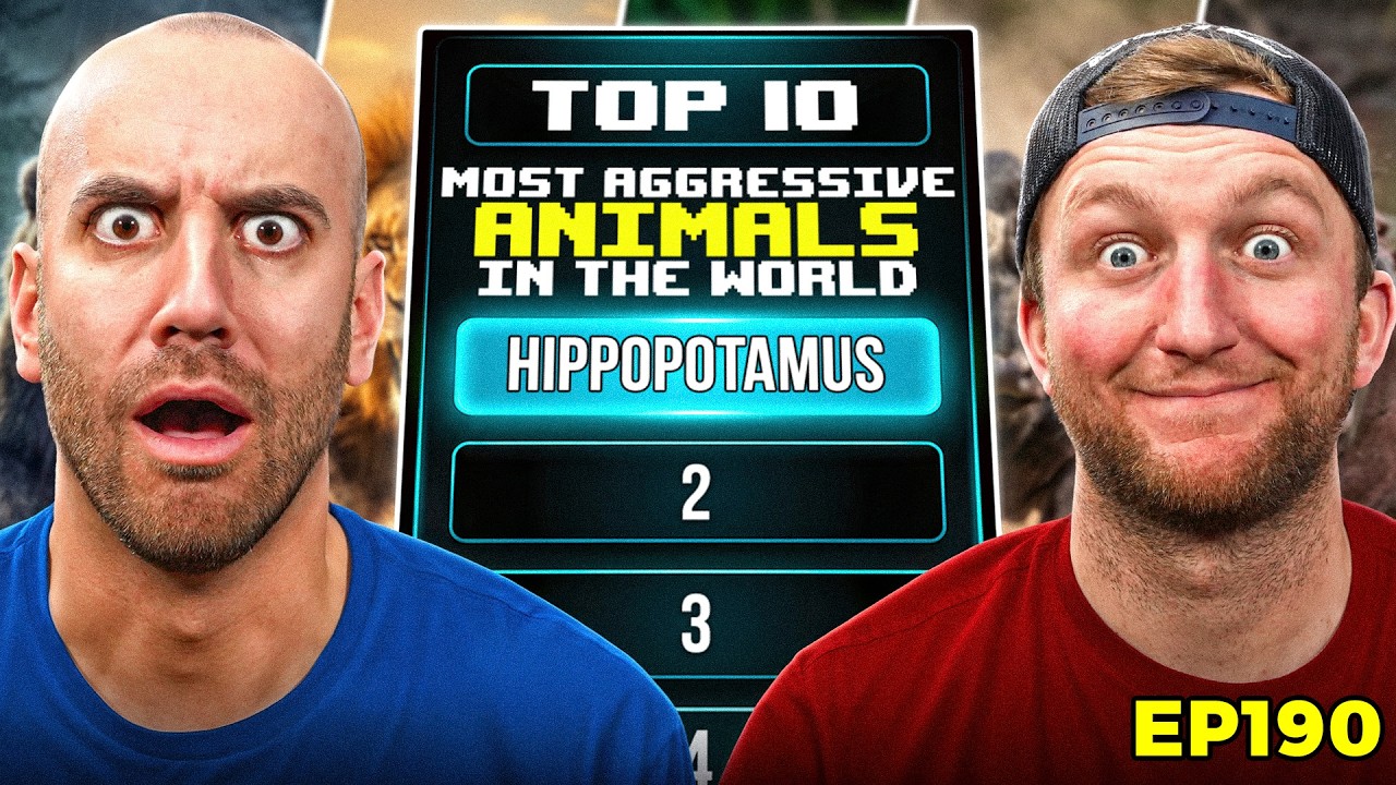 Top 10 Most Aggressive Animals In The World | The Makeshift Podcast 190