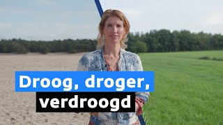 Waarom regen ons niet van de droogte gaat verlossen