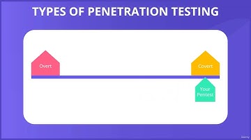Types of Penetration Testing Explained | Black Box, White Box & Gray Box